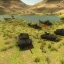 Vanilla+ Universal Camo 4