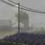 Hurricanes & Blizzards 3