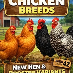 Chicken Breeds (B42)