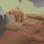 Dunes of shells 5
