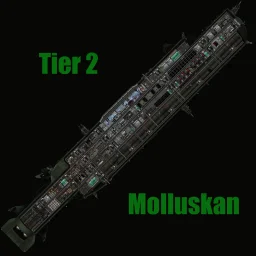 Molluskan Molluskan